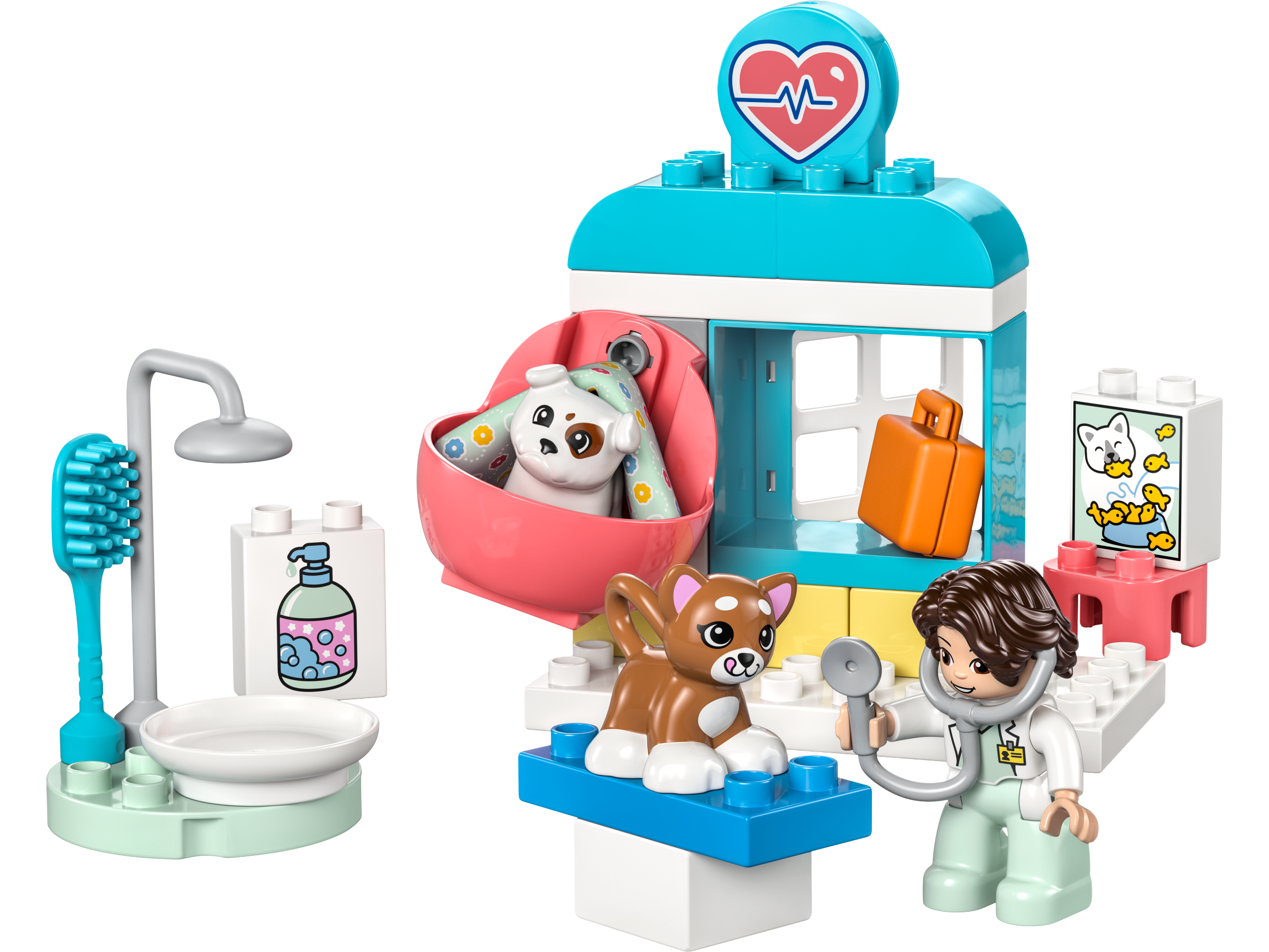 Visit to the Vet Clinic