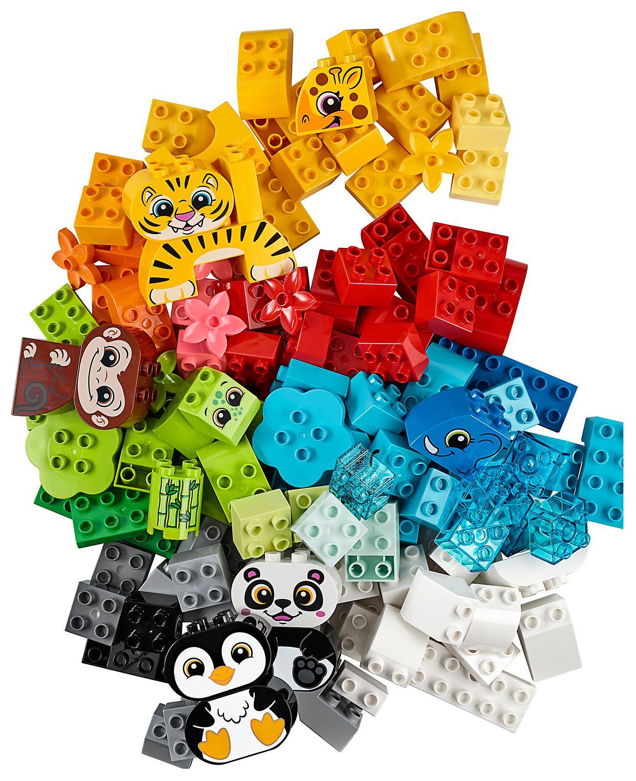 Creative Animals