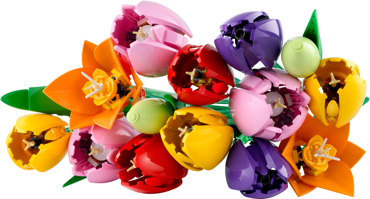 Tulip Bouquet