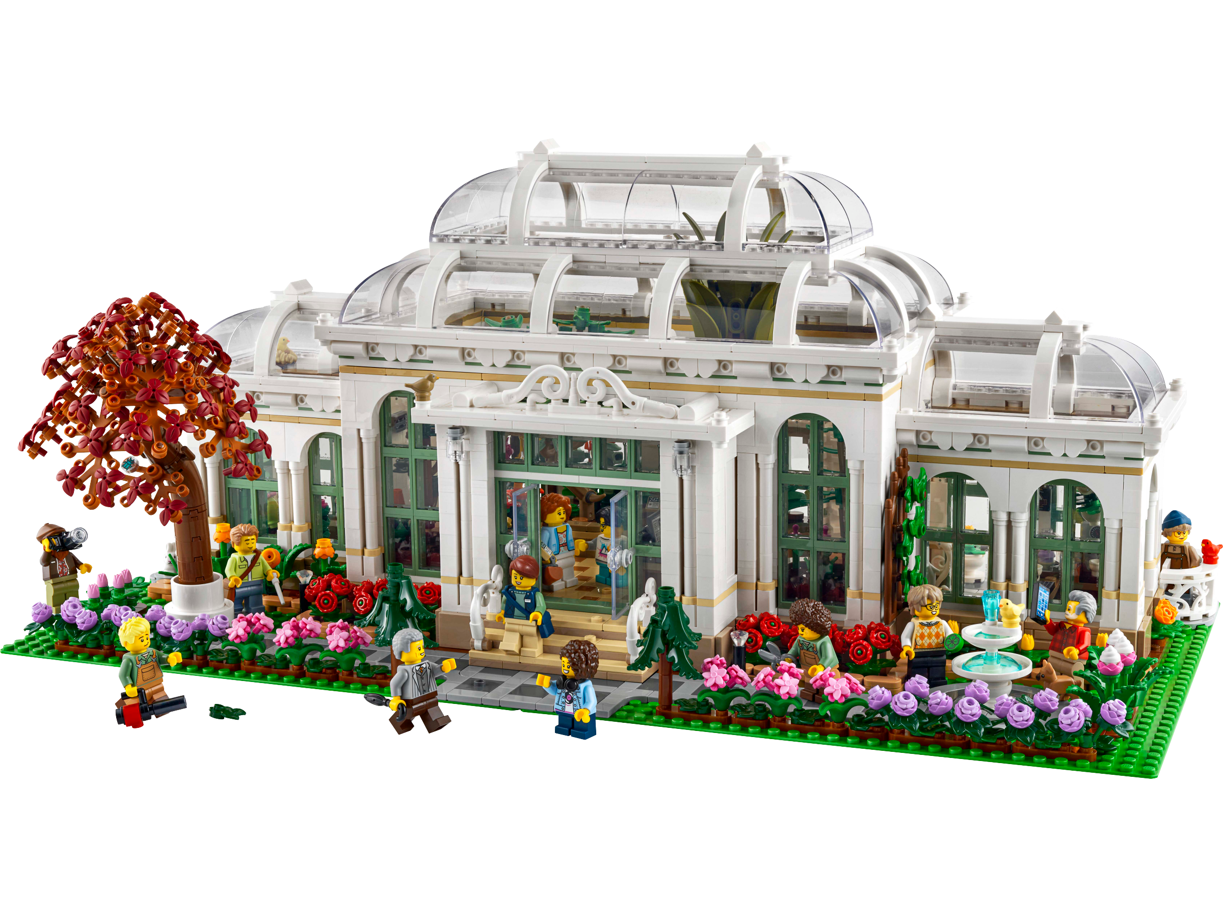 The Botanical Garden