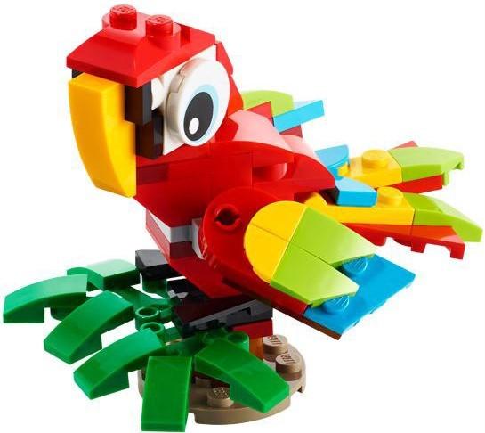 Tropical Parrot