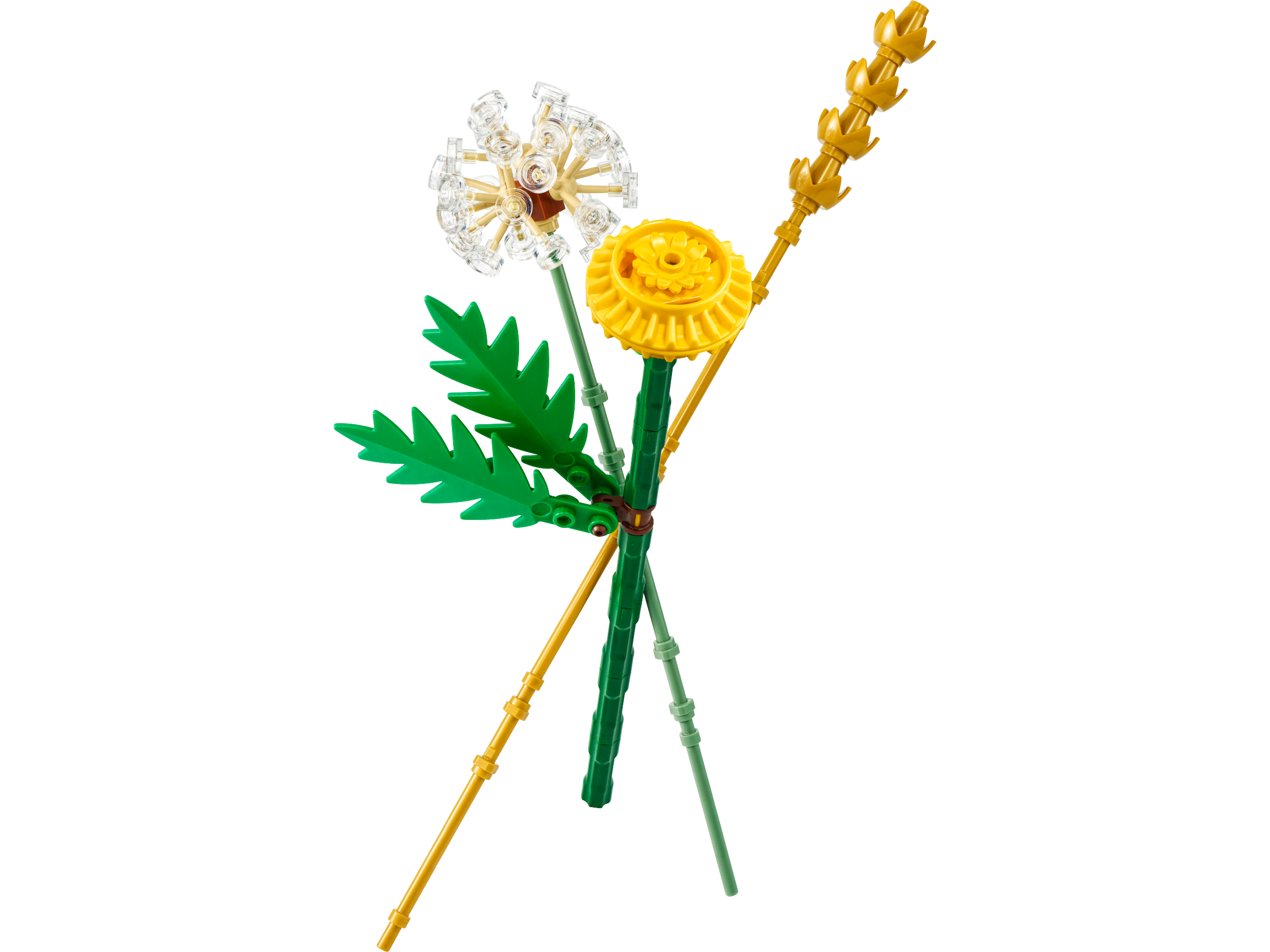 Field Flowers