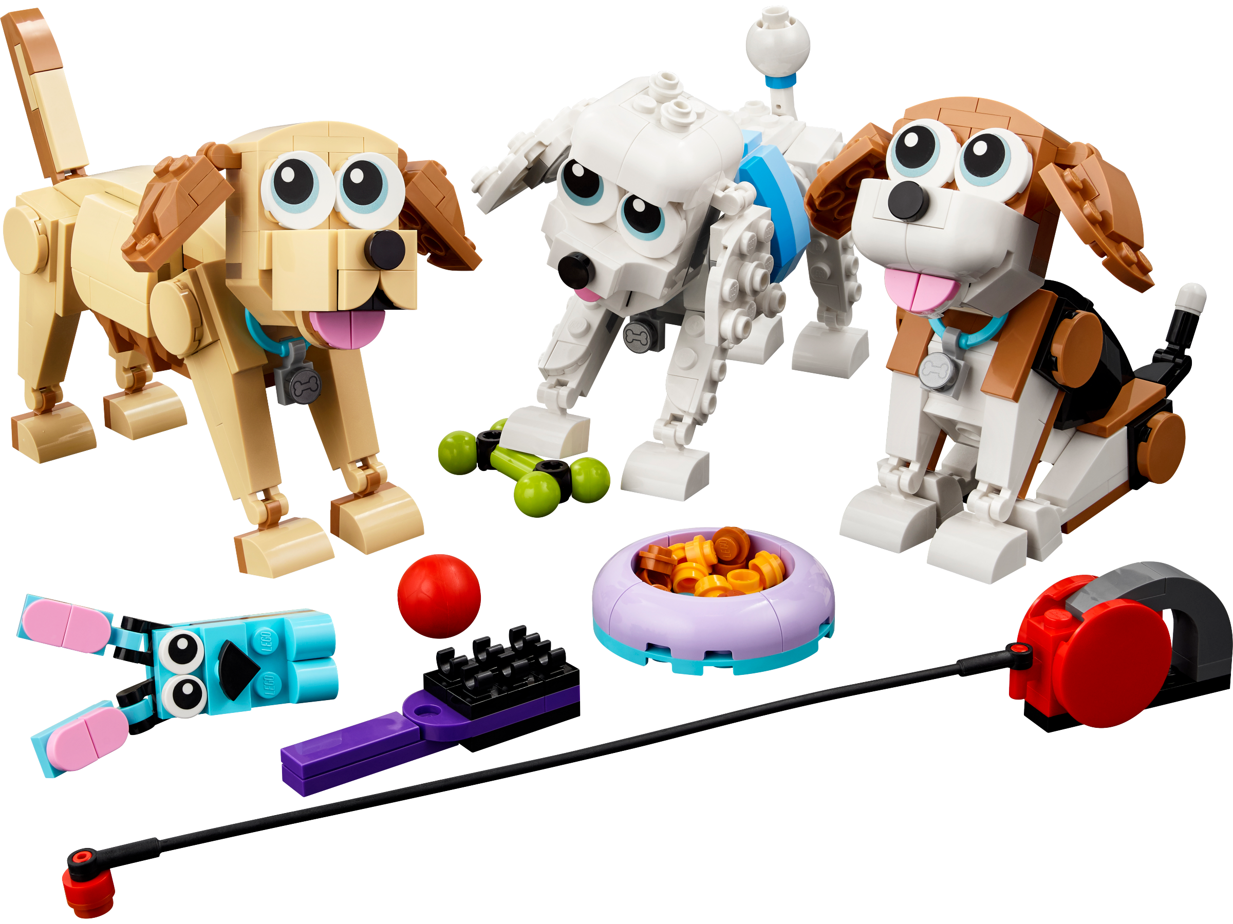 Adorable Dogs