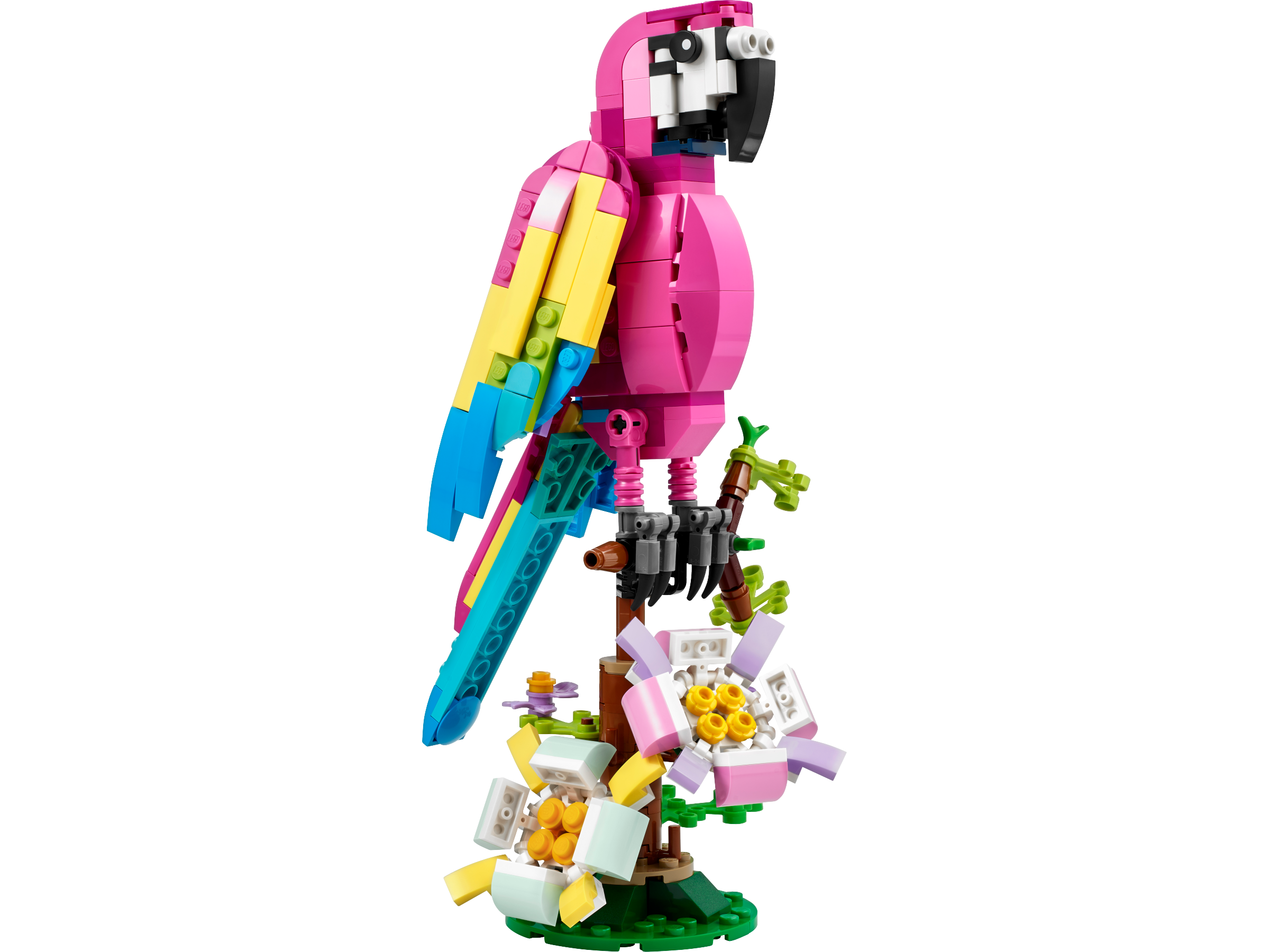 Exotic Pink Parrot