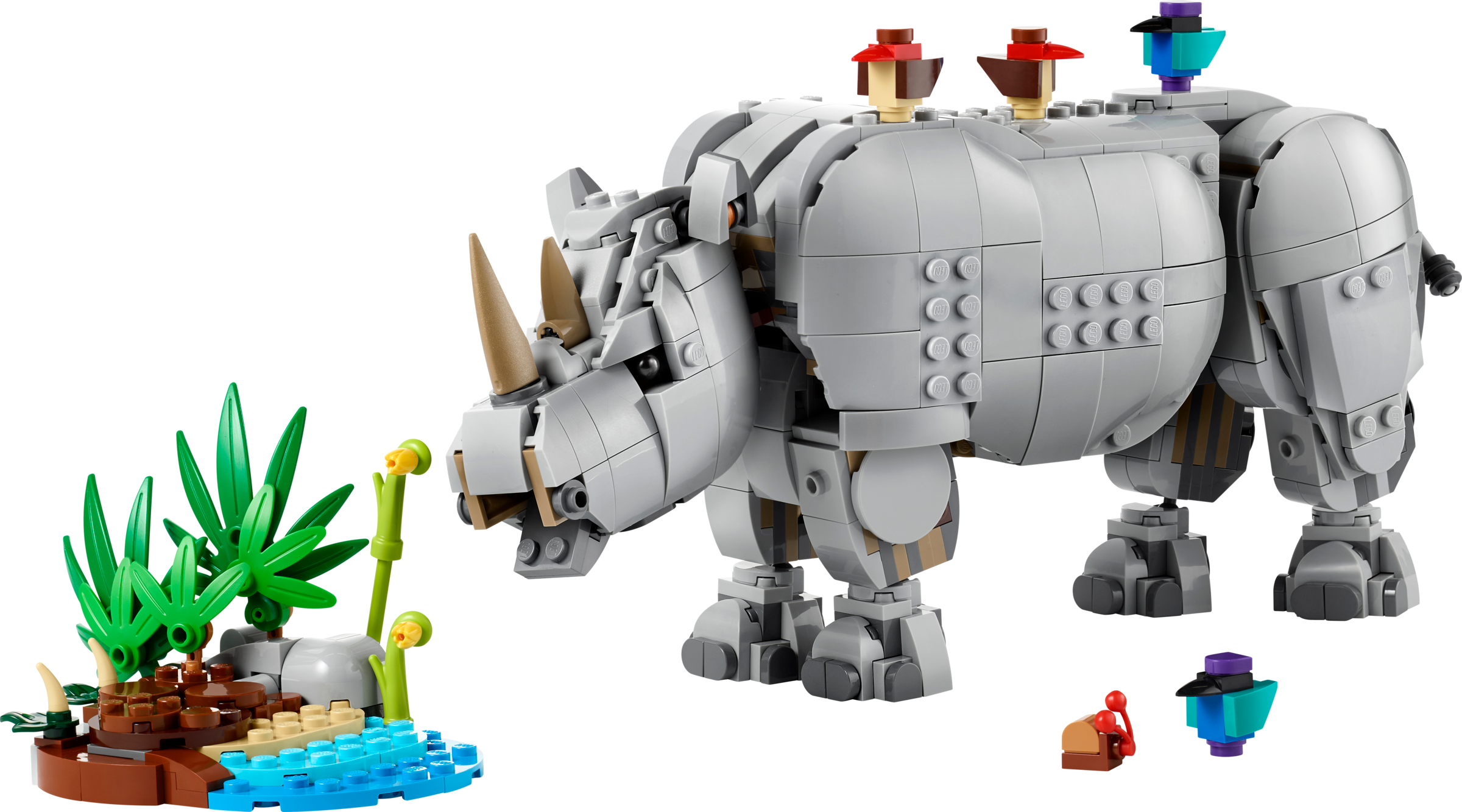 Wild Animals: Majestic Rhino with Birds