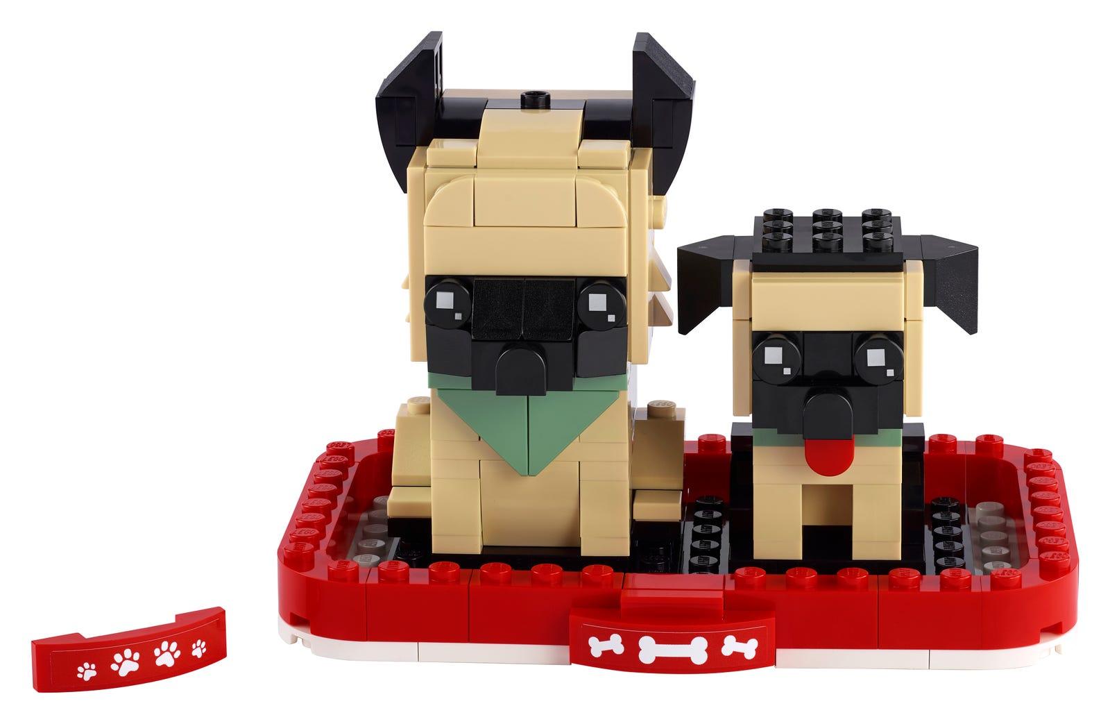 German Shepherd and Puppy