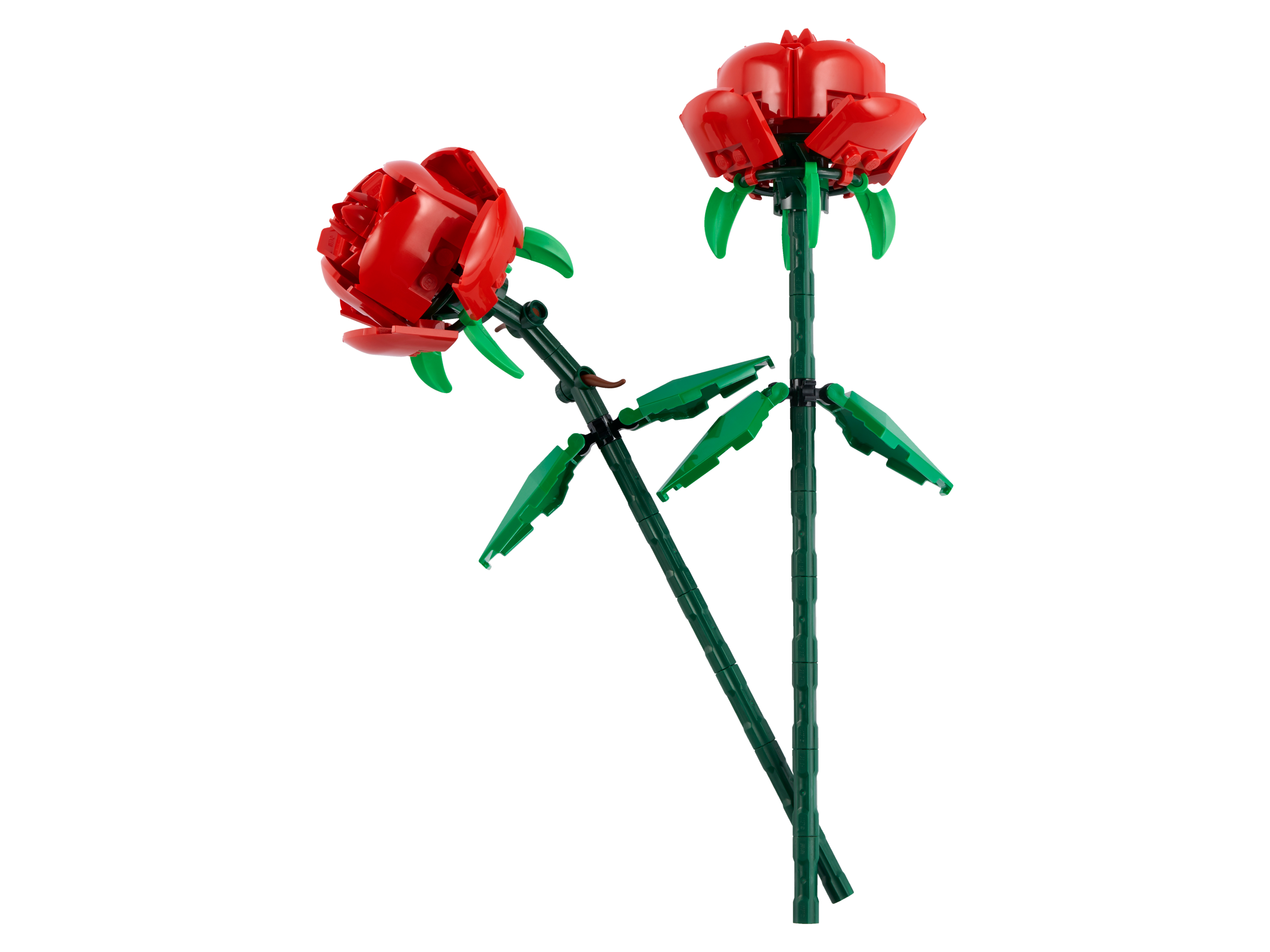 Roses