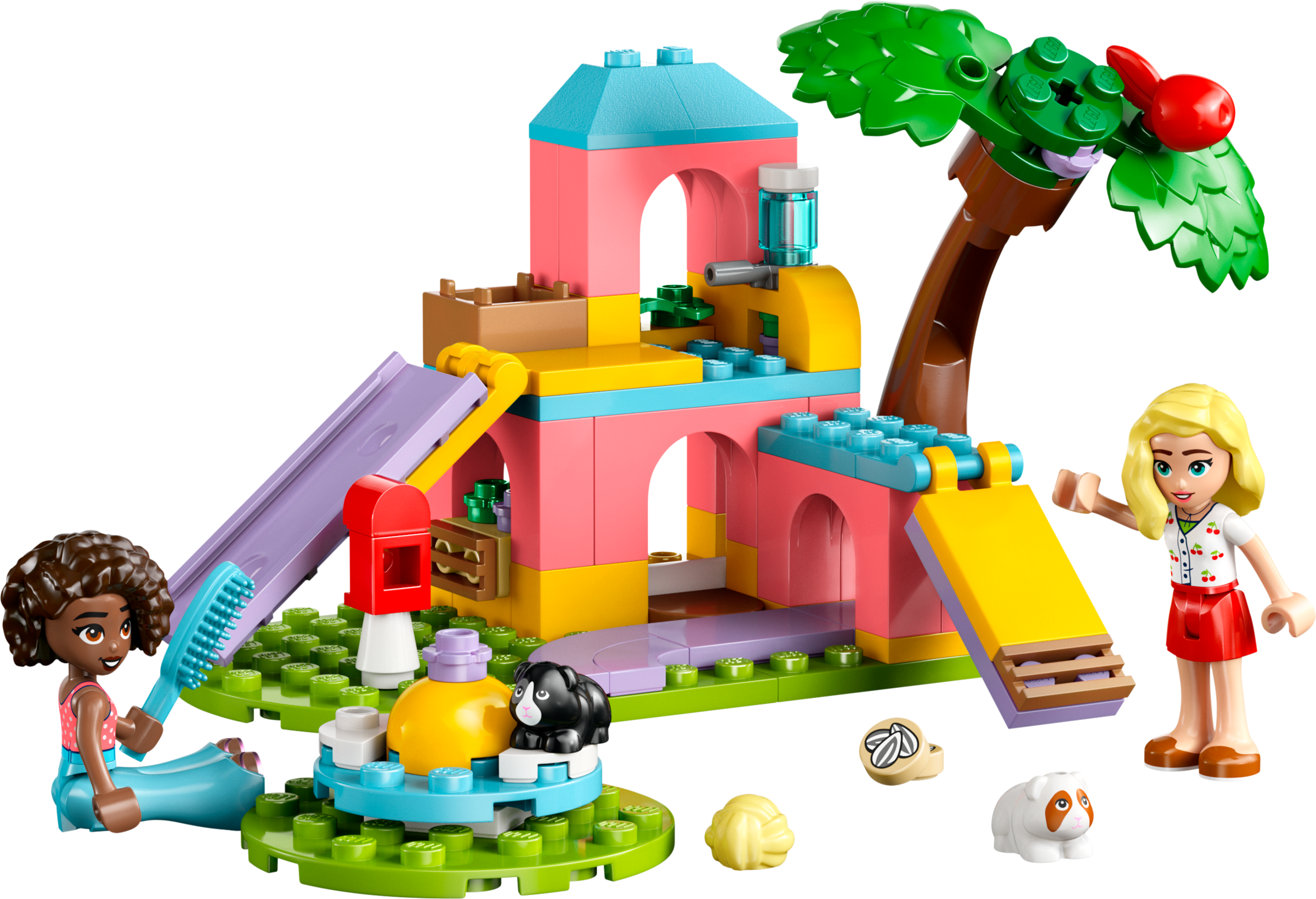 Guinea Pig Playground