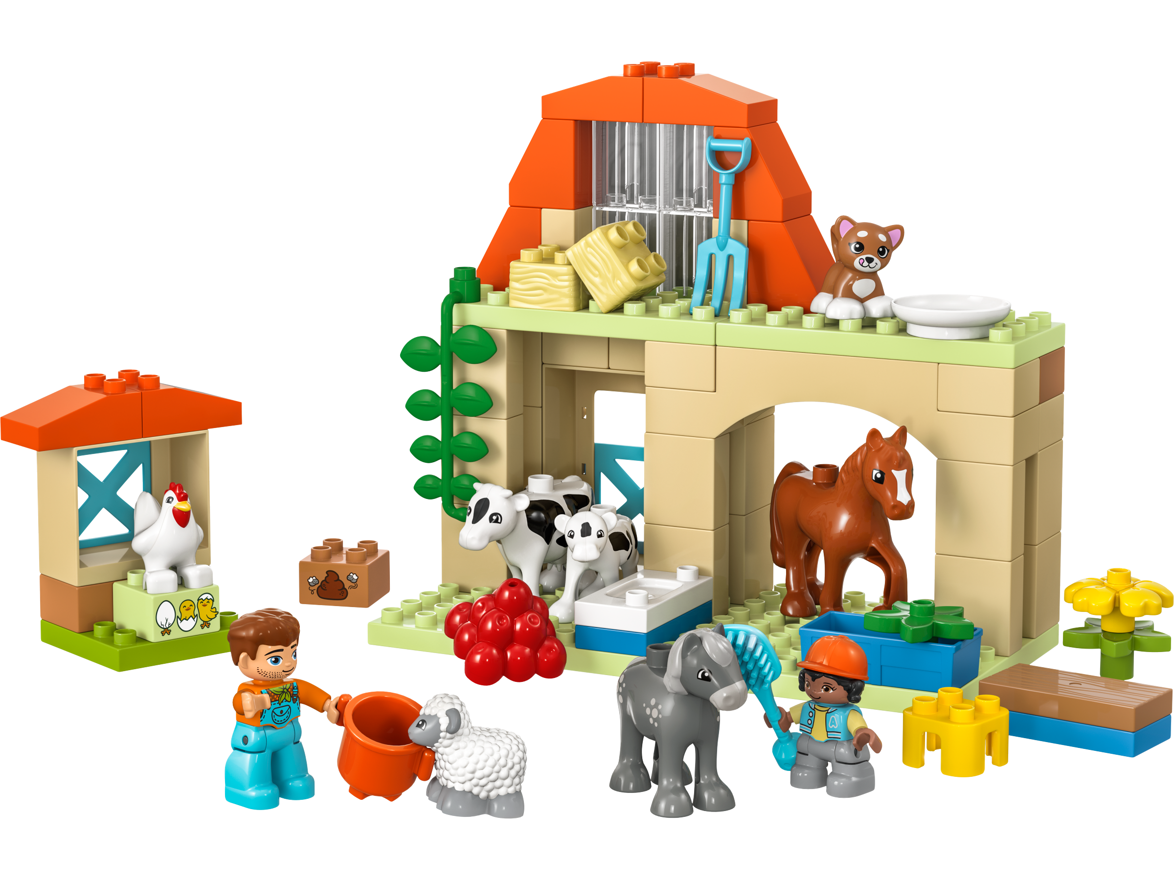 Caring for Animals at the Farm