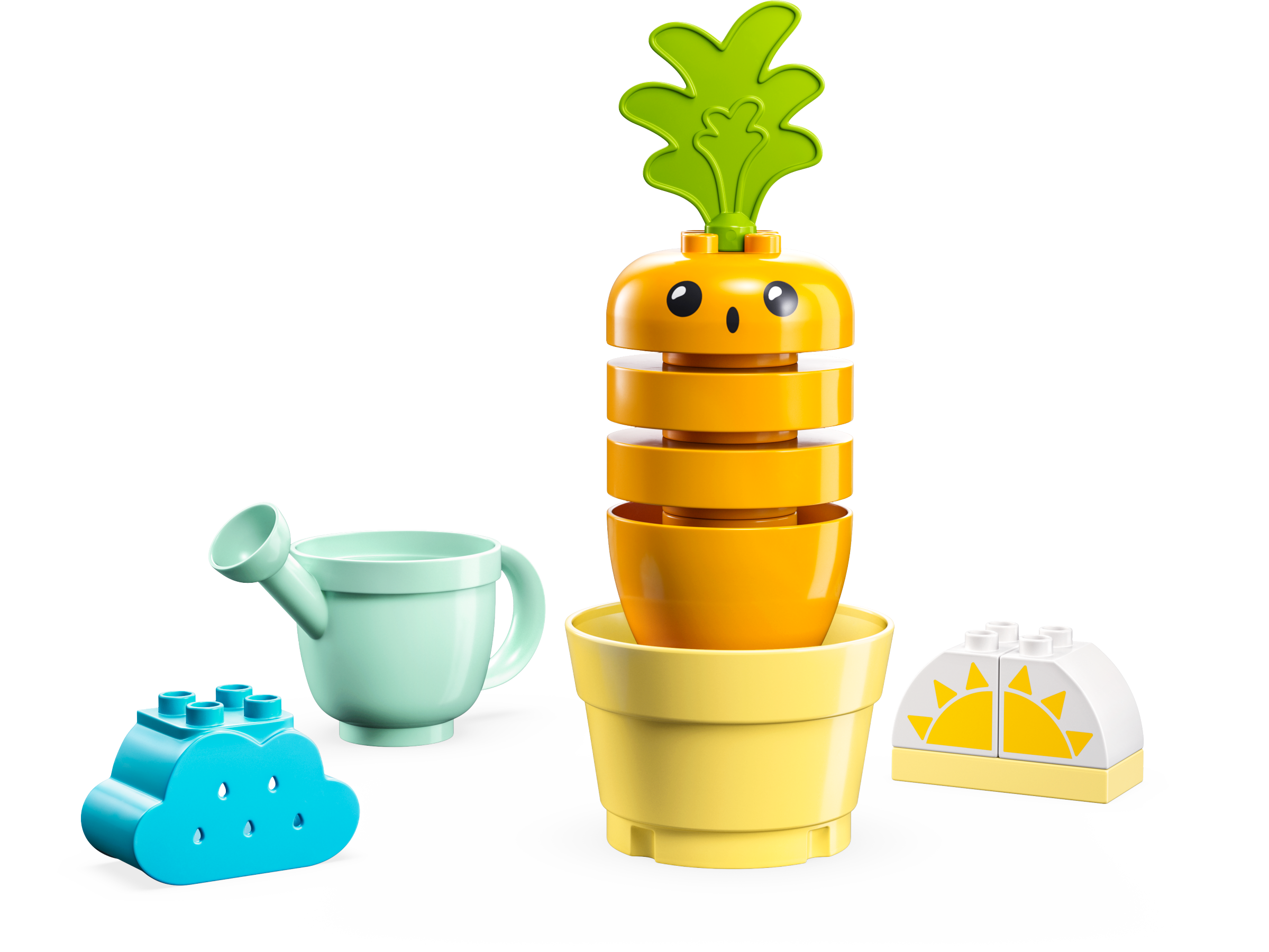 Growing Carrot