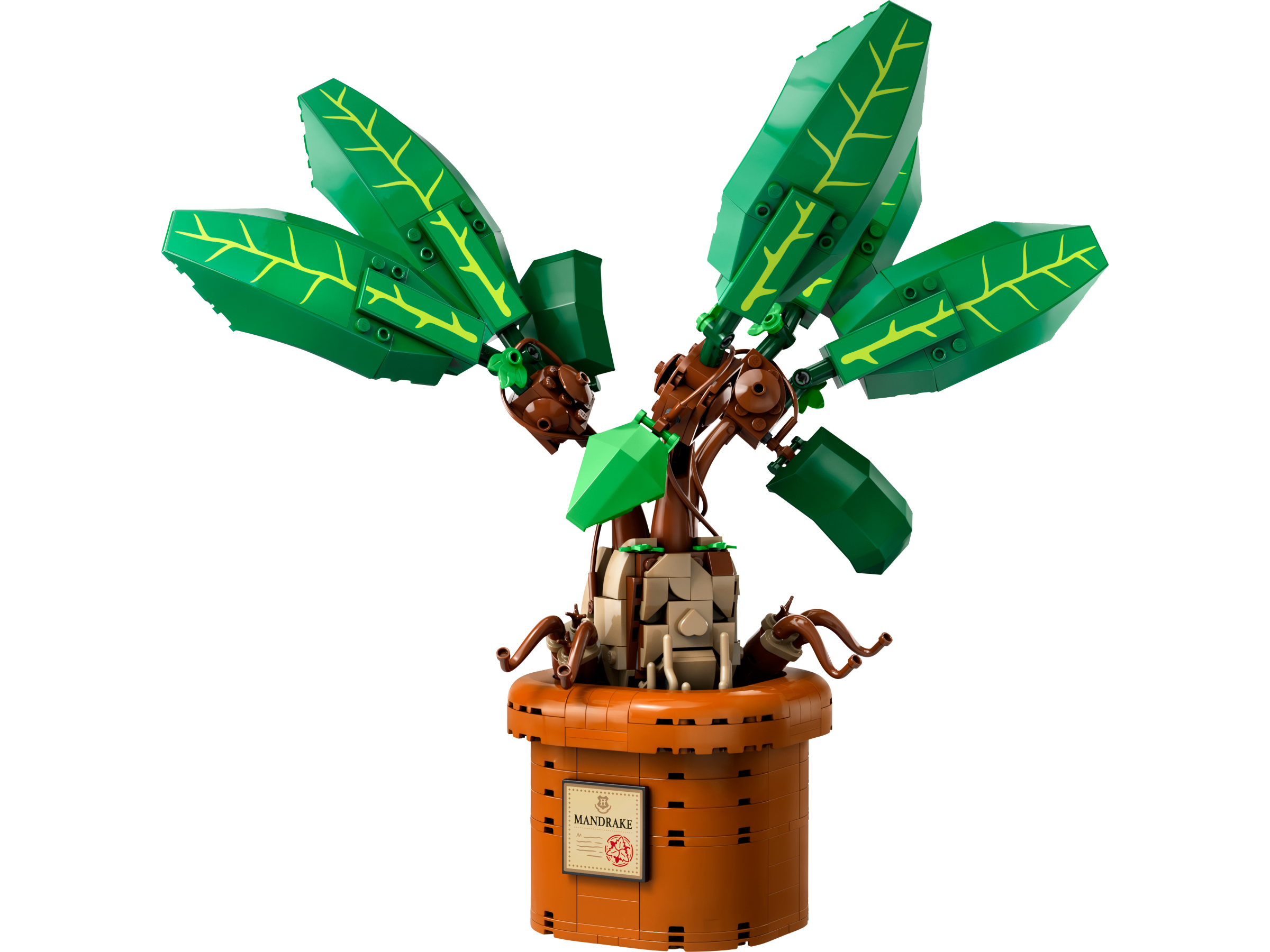 Mandrake